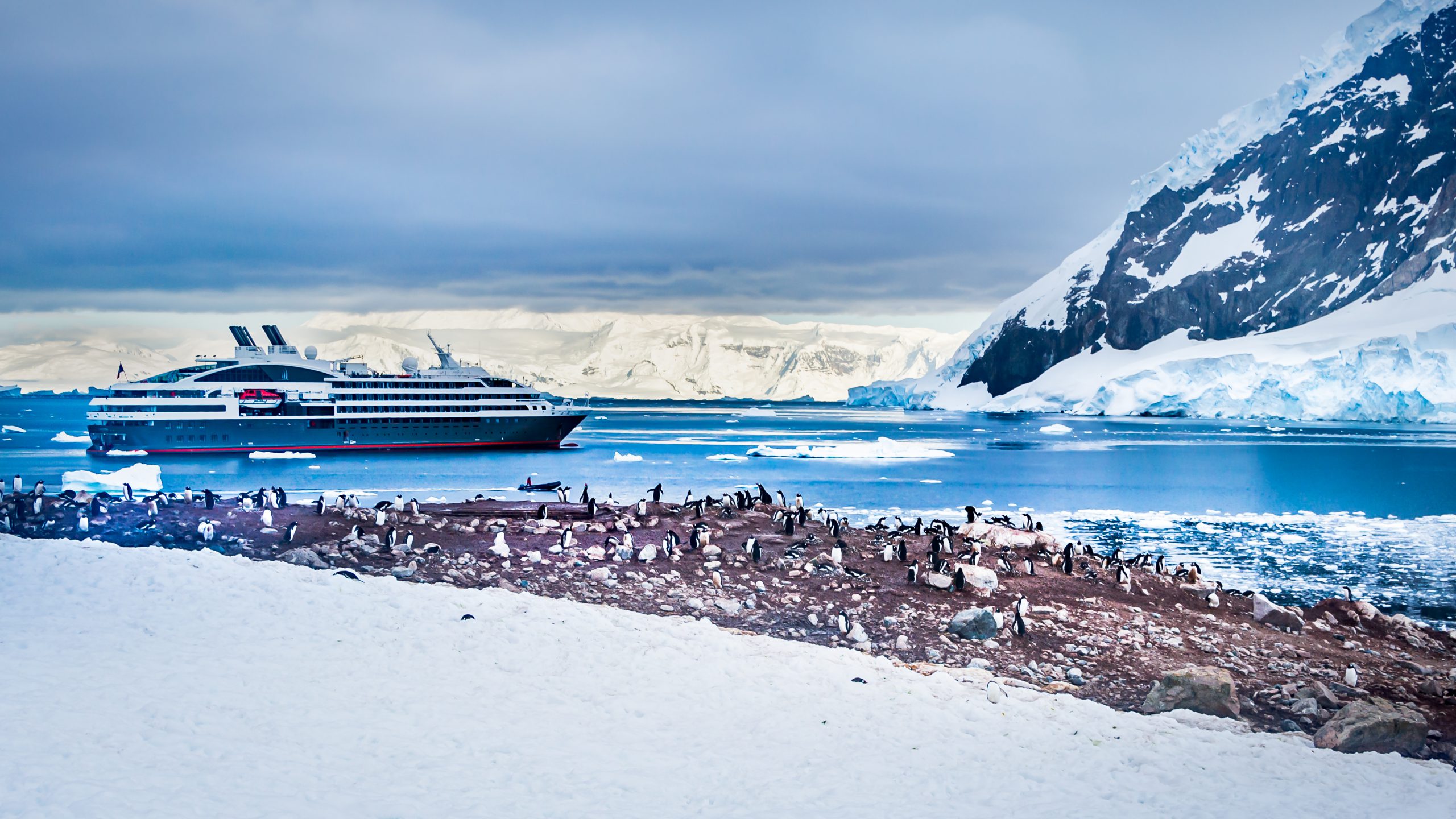 Expedition Cruises