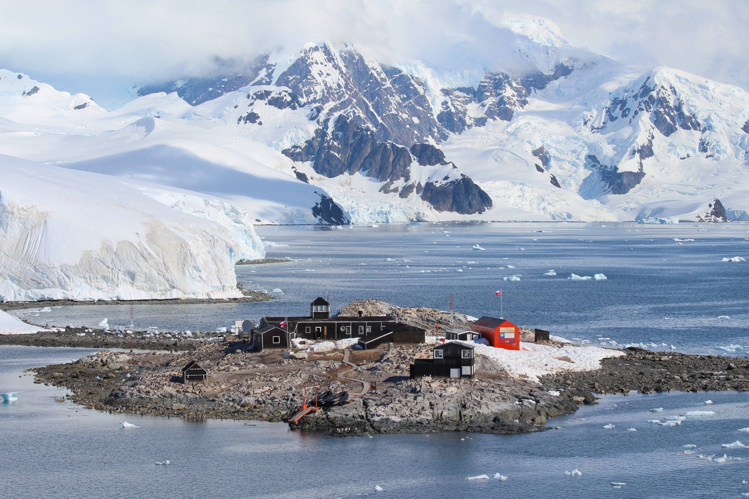 Antarctic Programmes